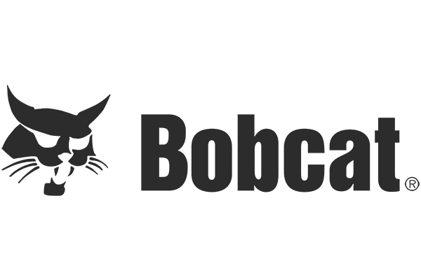 Botcat